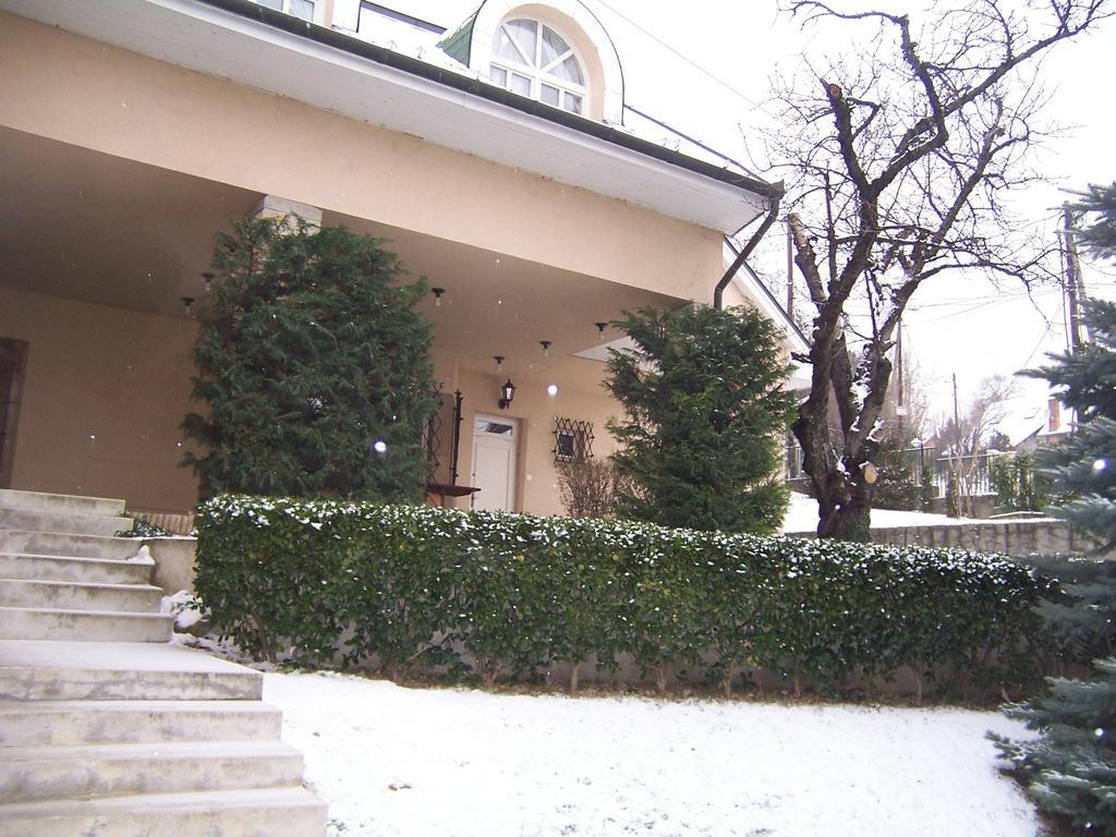 Villa Szekely Leanyfalu Exterior photo